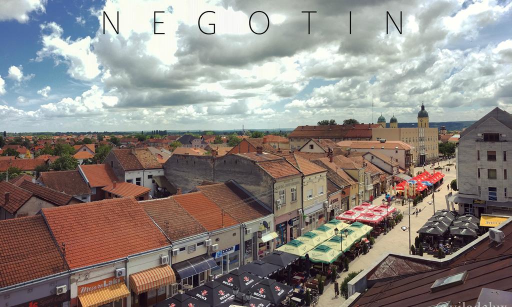 Vila Delux Negotin Dış mekan fotoğraf